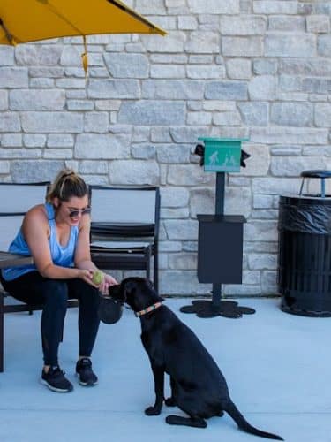 Gyms for Dogs - Natural Dog Park Products