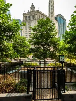 Gyms for Dogs - Natural Dog Park Products
