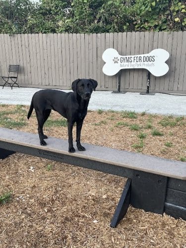Gyms for Dogs - Natural Dog Park Products