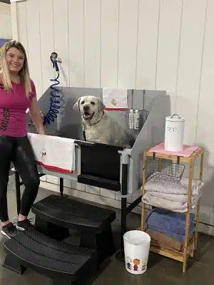 Gyms for Dogs - Natural Dog Park Products