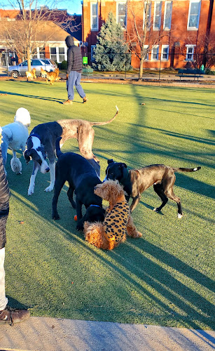 The Dog Park at Immanuel