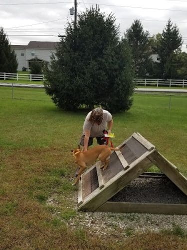 Waggin' Tails Bark Park