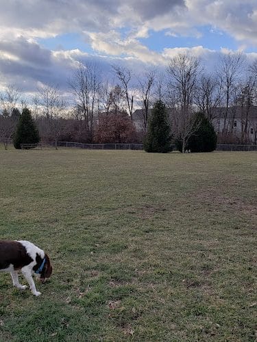 Waggin' Tails Bark Park