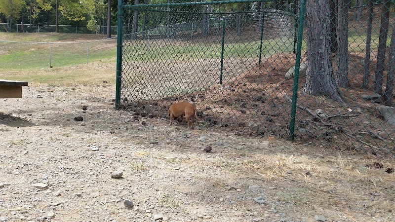 Irondale Dog Park - Irondale, AL
