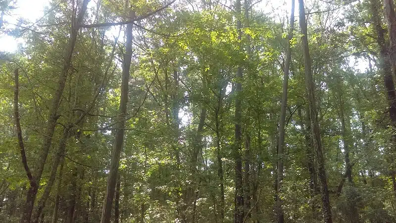 Irondale Dog Park - Irondale, AL