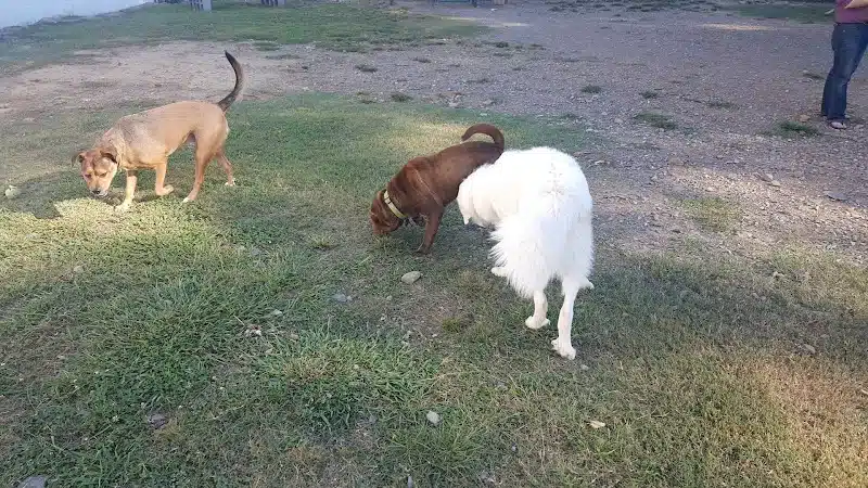 Irondale Dog Park - Irondale, AL
