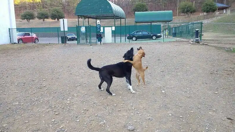 Irondale Dog Park - Irondale, AL