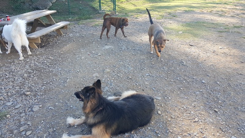Irondale Dog Park - Irondale, AL