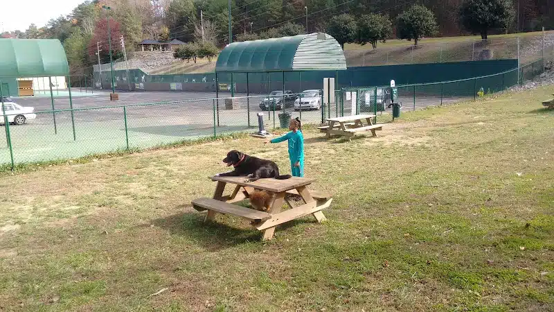 Irondale Dog Park - Irondale, AL