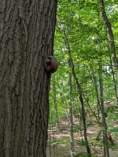 Irondequoit Bay Park West - Irondequoit, NY