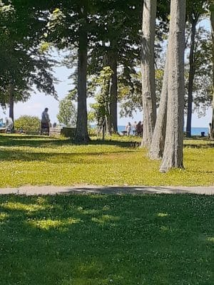 Heyer-Bayer Memorial Park
