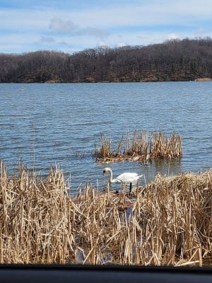 Irondequoit Bay Park West