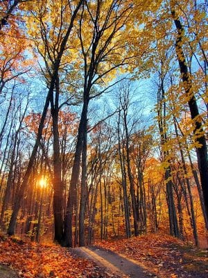 Irondequoit Bay Park West