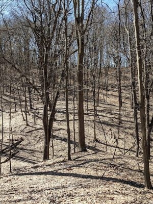 Irondequoit Bay Park West