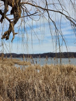 Irondequoit Bay Park West