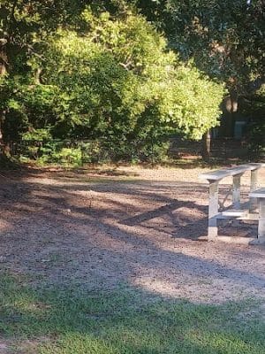 Bark Park