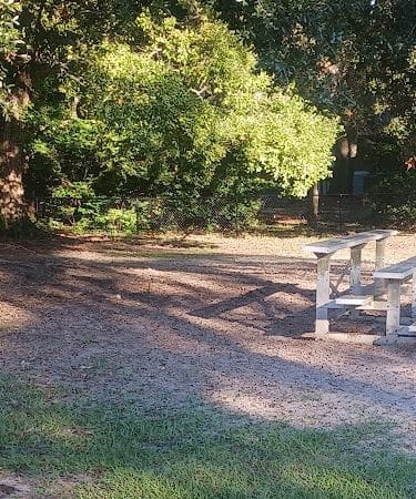 Bark Park