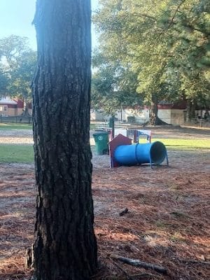 Bark Park