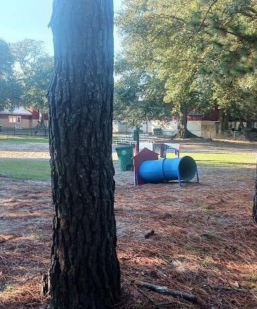 Bark Park