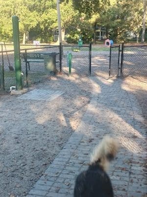 Bark Park
