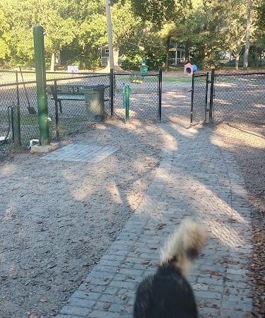Bark Park