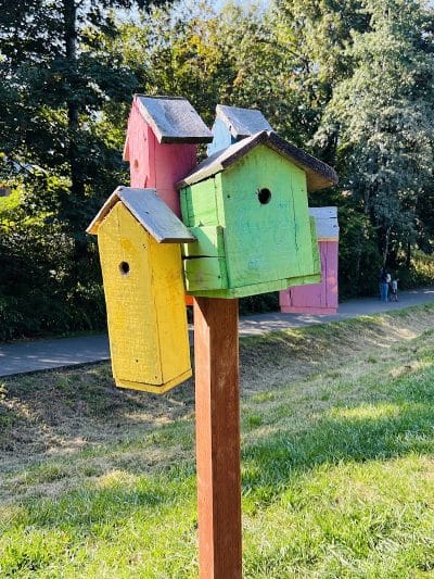 Issaquah Dog Park - Issaquah, WA