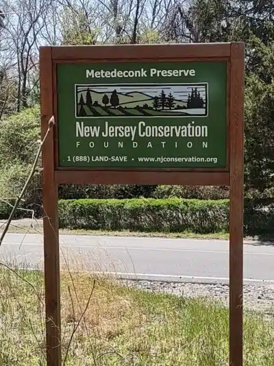 Metedeconk Preserve - Jackson Township, NJ