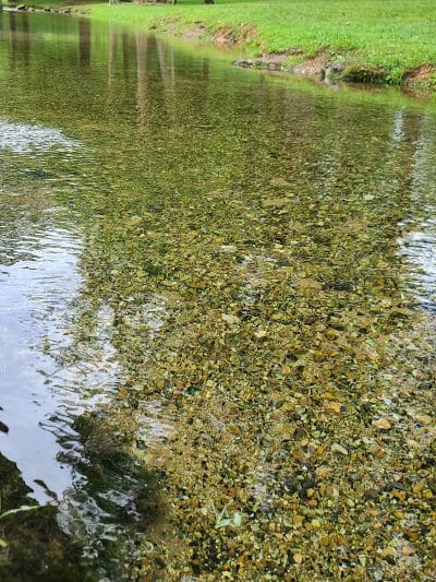 Germania Springs Park - Jacksonville, AL