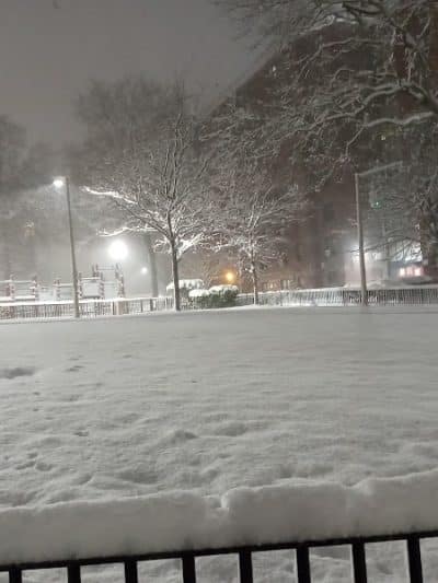 Baisley Park - Jamaica, NY