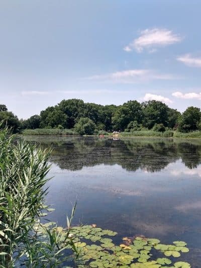 Baisley Pond Park - Jamaica, NY