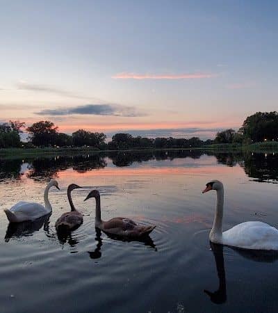 Baisley Pond Park - Jamaica, NY