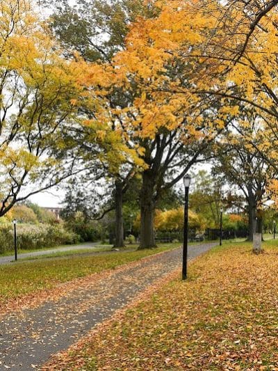 Baisley Pond Park - Jamaica, NY