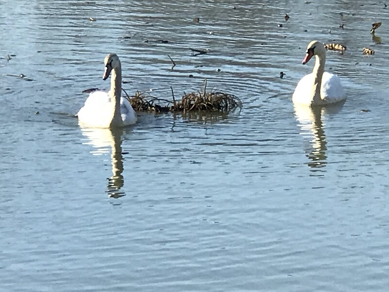 Baisley Pond Park - Jamaica, NY