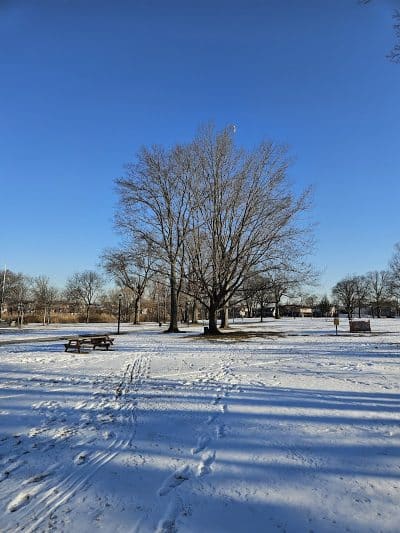 Baisley Pond Park - Jamaica, NY