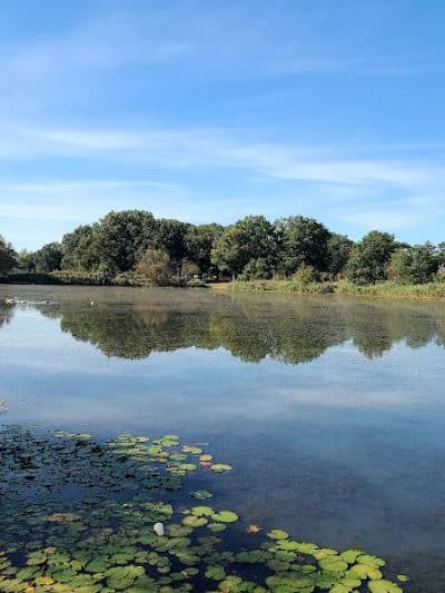 Baisley Pond Park - Jamaica, NY