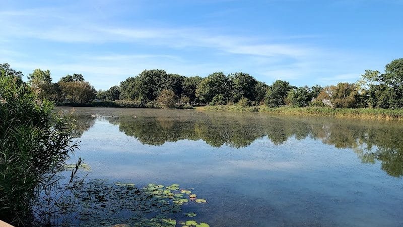 Baisley Pond Park - Jamaica, NY