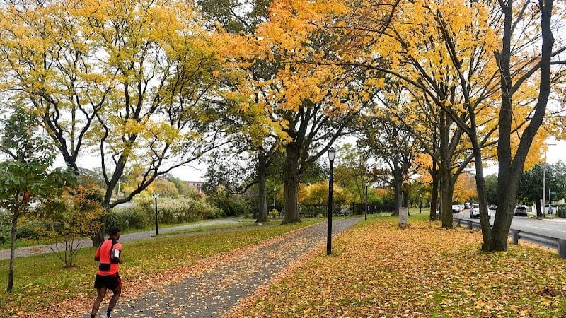 Baisley Pond Park - Jamaica, NY