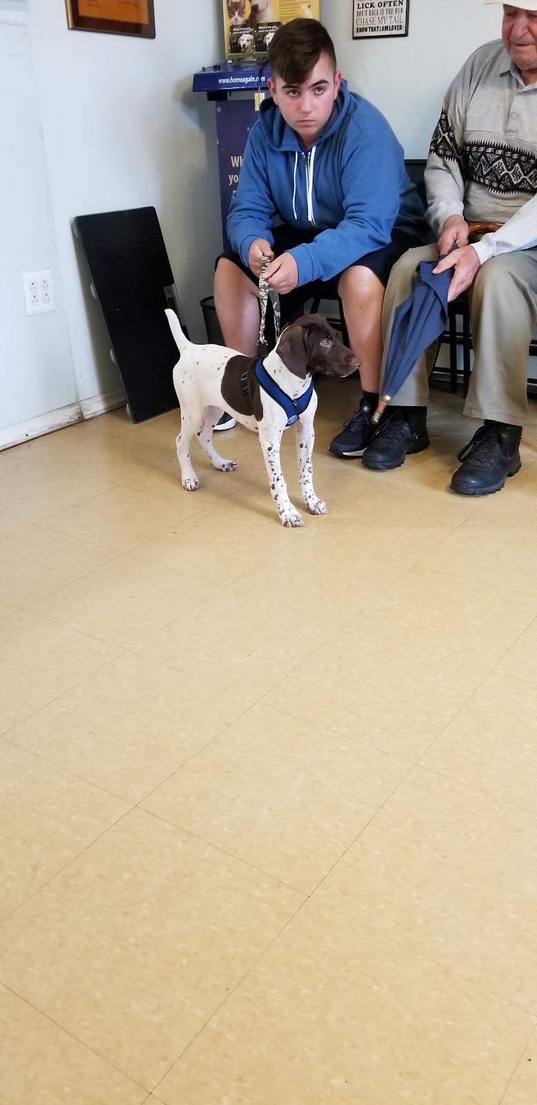 Ozone Park Animal Clinic - Jamaica, NY