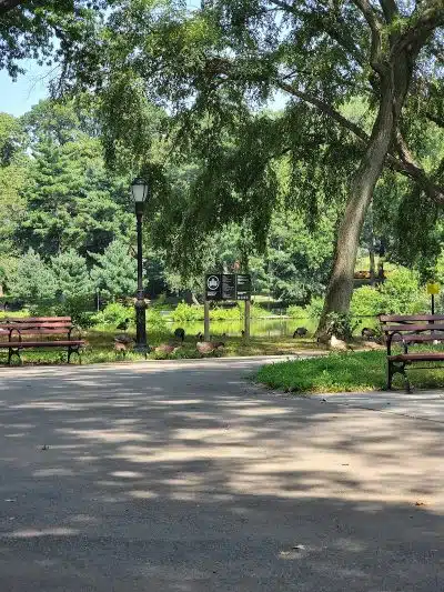 Park - Jamaica, NY