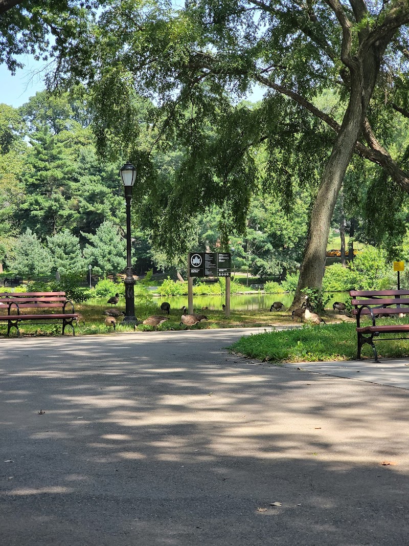 Park - Jamaica, NY