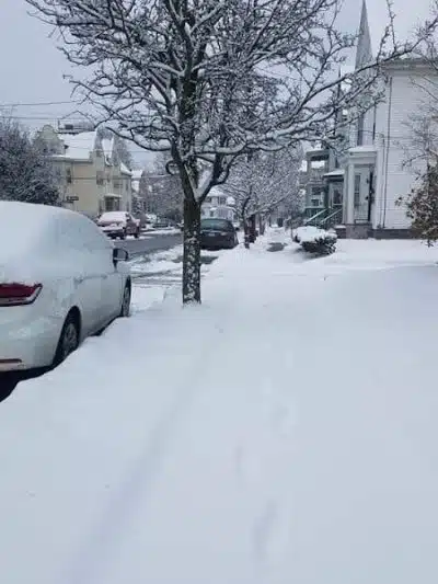 Park - Jamaica, NY