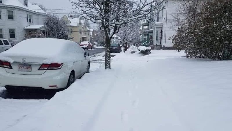 Park - Jamaica, NY