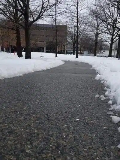 Park - Jamaica, NY