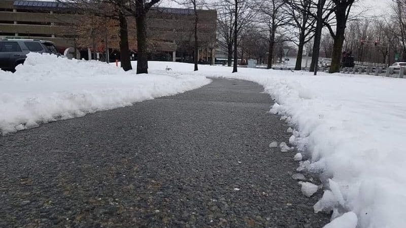 Park - Jamaica, NY