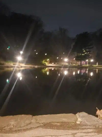 Park - Jamaica, NY