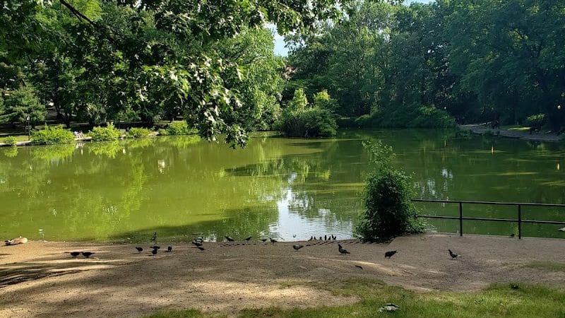 Park - Jamaica, NY