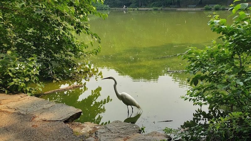 Park - Jamaica, NY