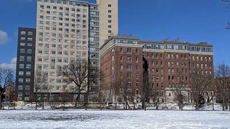 Parkhill City - Jamaica, NY