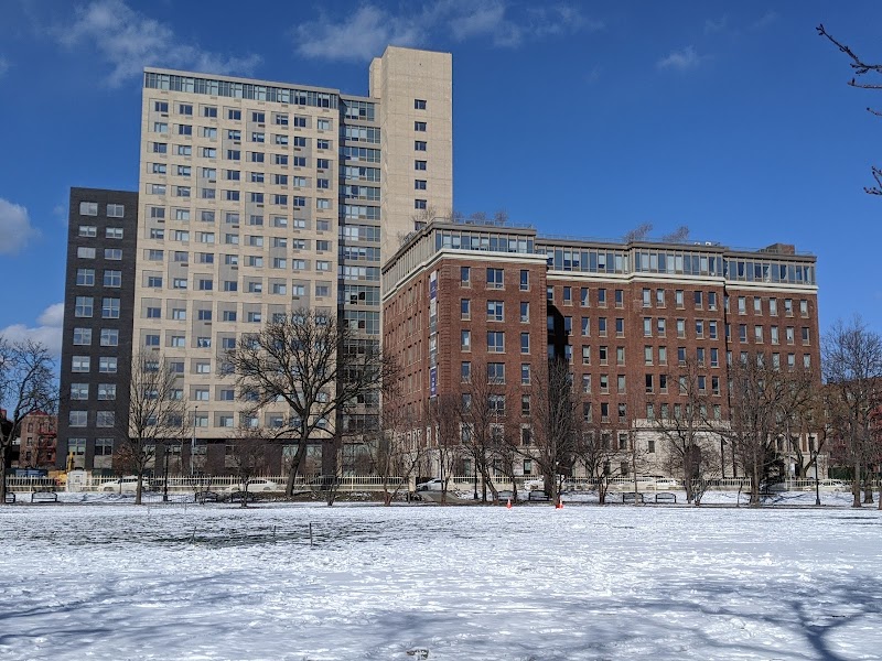 Parkhill City - Jamaica, NY