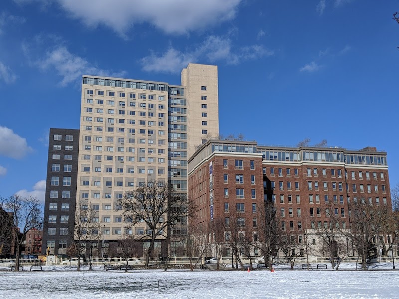 Parkhill City - Jamaica, NY